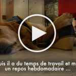 La vidéo de l’infirmier Jeep, le chien thérapeutique, devient virale !